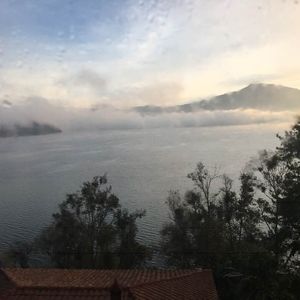 Meet your Posher, Violeta